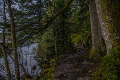 LacdeGerardmer012