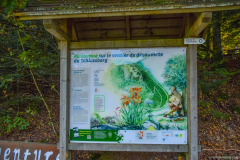 LacKruthWildenstein014