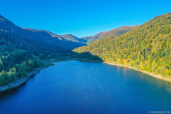 default