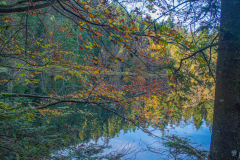 LacdelaMaixAutomne004