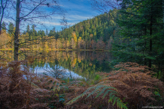 LacdelaMaixAutomne010