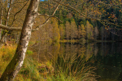LacdelaMaixAutomne013