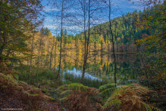 LacdelaMaixAutomne014
