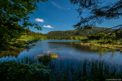 LacduLispach004