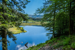 LacduLispach018