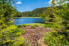 LacduLispach022