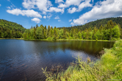 LacduLispach023
