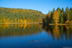 LacdeLispachAutomne006