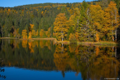 LacdeLispachAutomne008