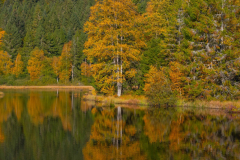 LacdeLispachAutomne009