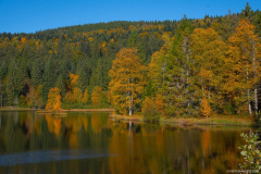 LacdeLispachAutomne010