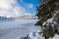 LacdeLispachHiver006