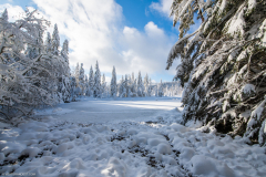 LacdeLispachHiver009