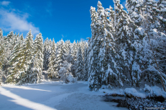 LacdeLispachHiver010