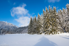 LacdeLispachHiver011