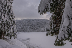 LacdesCorbeauHiver011