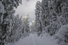 LacdesCorbeauHiver019