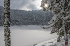 LacdesCorbeauHiver024