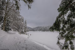 LacdesCorbeauHiver025