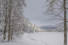LacdesCorbeauHiver027