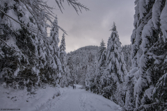 LacdesCorbeauHiver034
