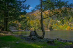LacduSchissrothried002
