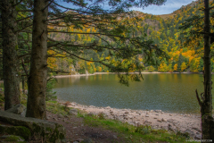 LacduSchissrothried006