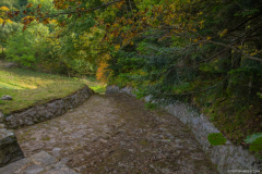 LacduSchissrothried016