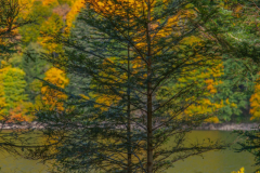 LacduSchissrothried033