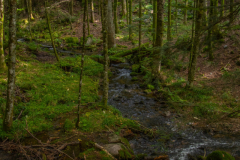 LacduFischboedle004