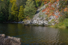 LacduFischboedle034
