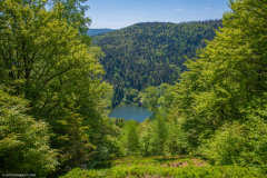 Neuweiher001