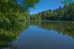 Neuweiher002