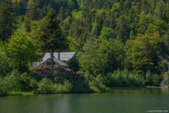 Neuweiher004