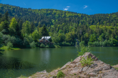 Neuweiher008