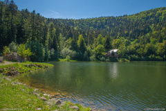 Neuweiher010