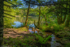 Neuweiher013
