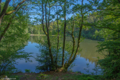 Neuweiher014
