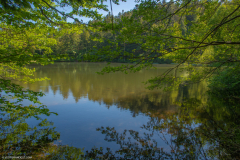 Neuweiher015