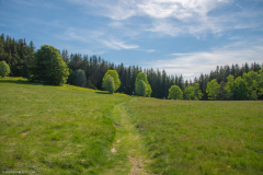Neuweiher016