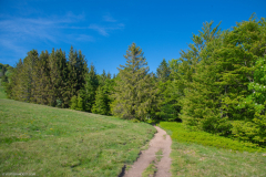 Neuweiher017