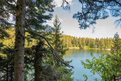 LacVert018