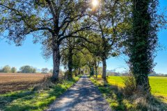 Langres021
