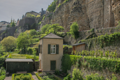 LuxembourgVillePrintemps010