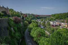LuxembourgVillePrintemps011