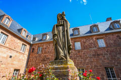 MontSaintOdile007