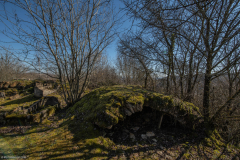 Site archéologique du Mont-Saint-Germain (Châtel-Saint-Germain - Moselle)
