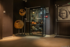 MosaiqueGrandGalerie001