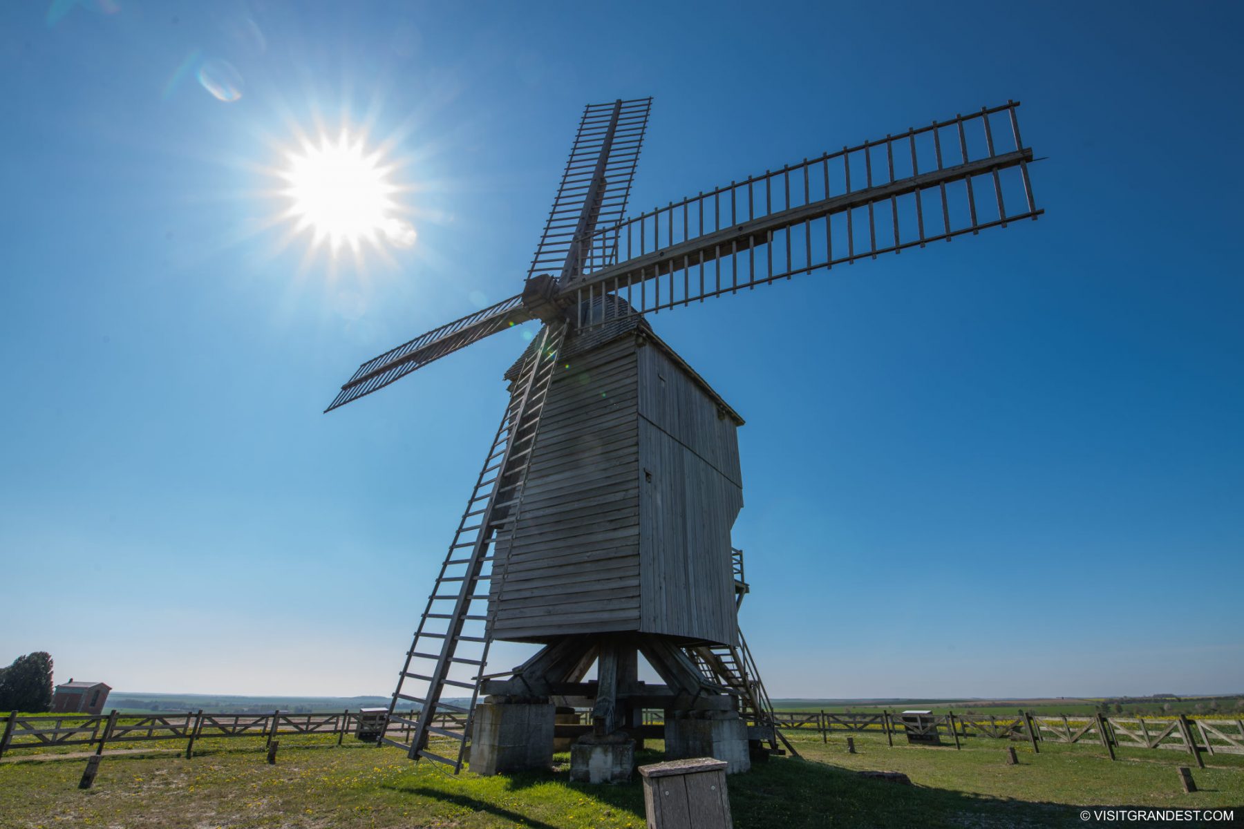 Moulin Roty Musical Mouse Doll - Polka Dot Plush With Soothing Music Box