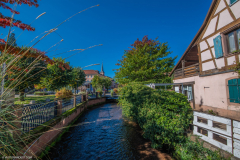 Niederbronn008